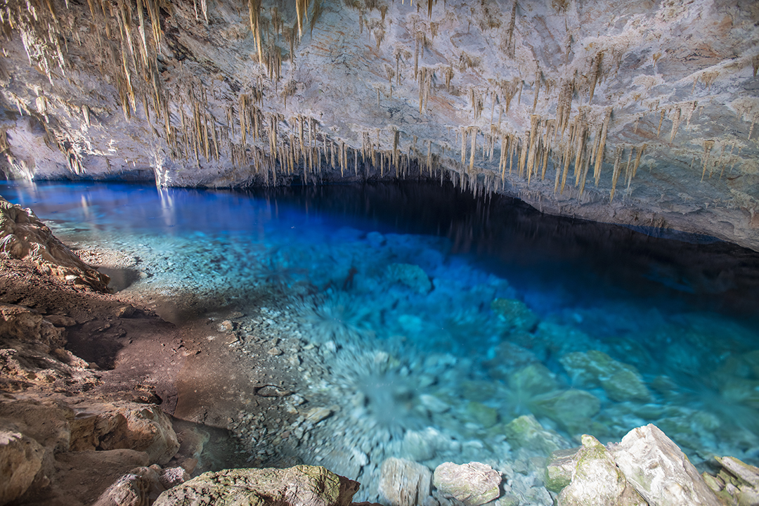 Bonito - Photo by Hudson Garcia (27)